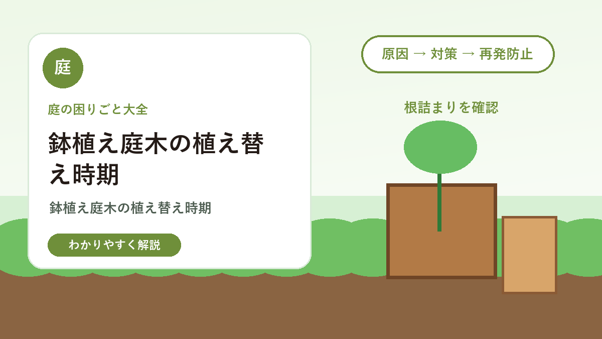 鉢植え庭木の植え替え時期｜根詰まりのサインと失敗しない手順
