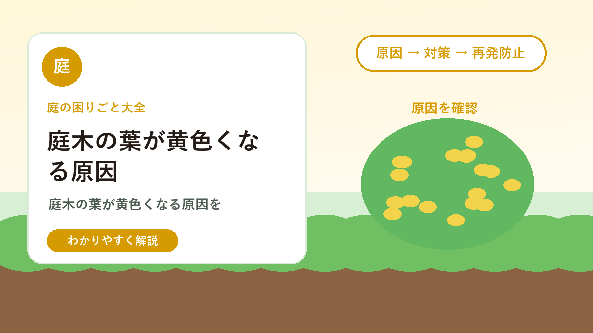 庭木の葉が黄色くなる原因｜水やり・肥料・根詰まり・病害虫の見分け方