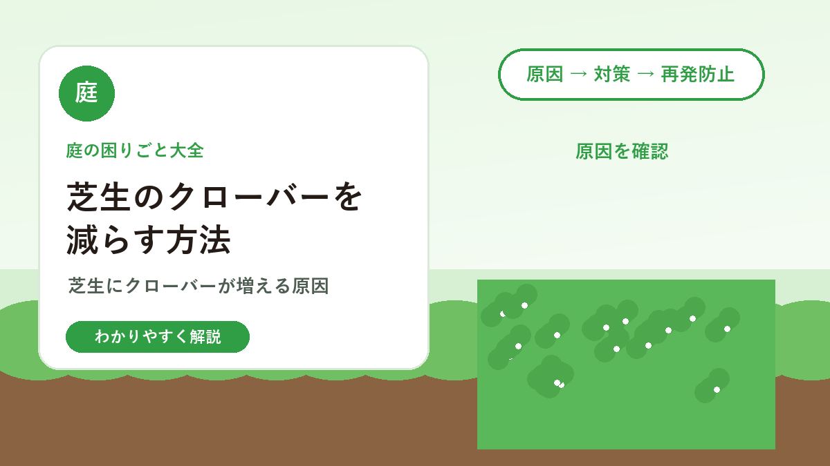 芝生のクローバーを減らす方法｜白い花が増える原因と対策