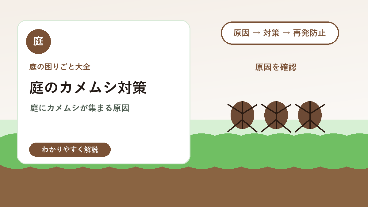 庭のカメムシ対策｜洗濯物や植物に集まる原因と減らし方