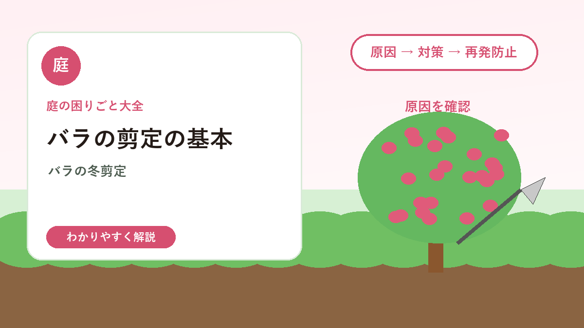 バラの剪定の基本｜冬剪定・夏剪定・花後の切り戻しを解説