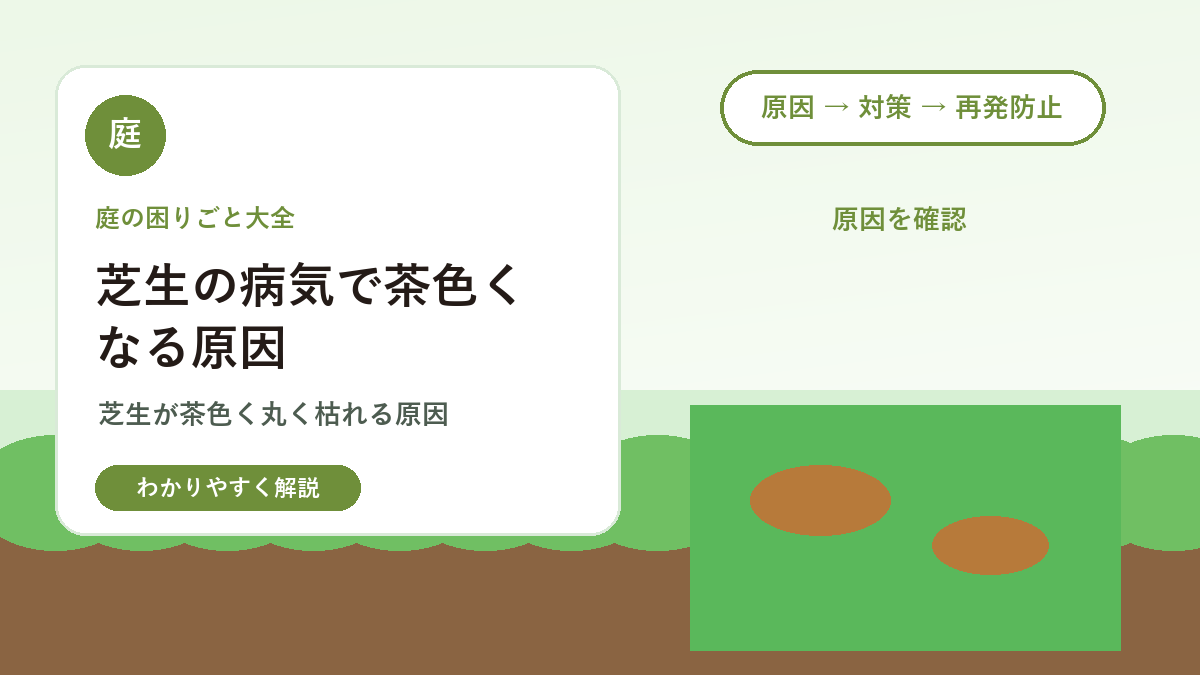 芝生の病気で茶色くなる原因｜ブラウンパッチの見分け方と対策