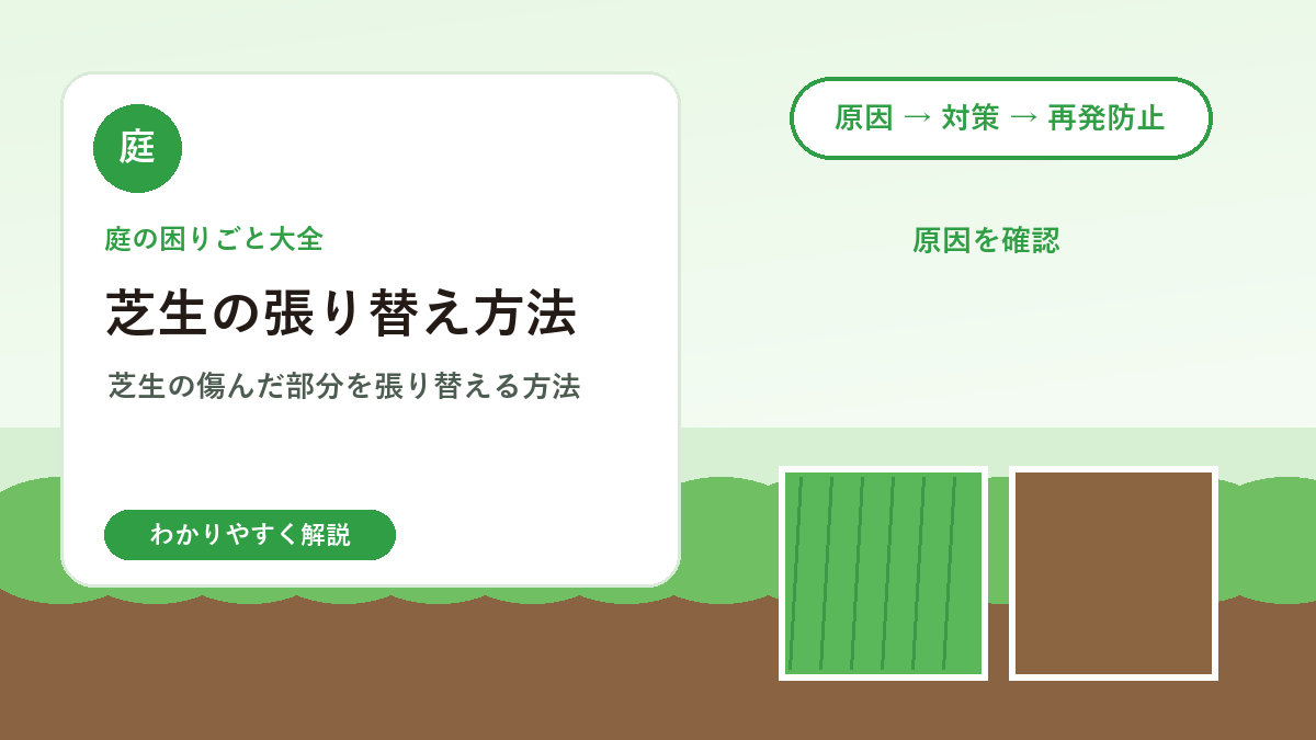 芝生の張り替え方法｜部分補修で失敗しない切り取り・目土・水やり