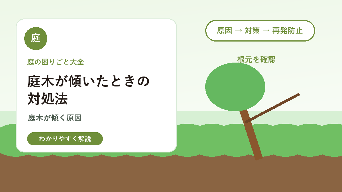 庭木が傾いたときの対処法｜支柱・根元確認・倒木リスクの見分け方