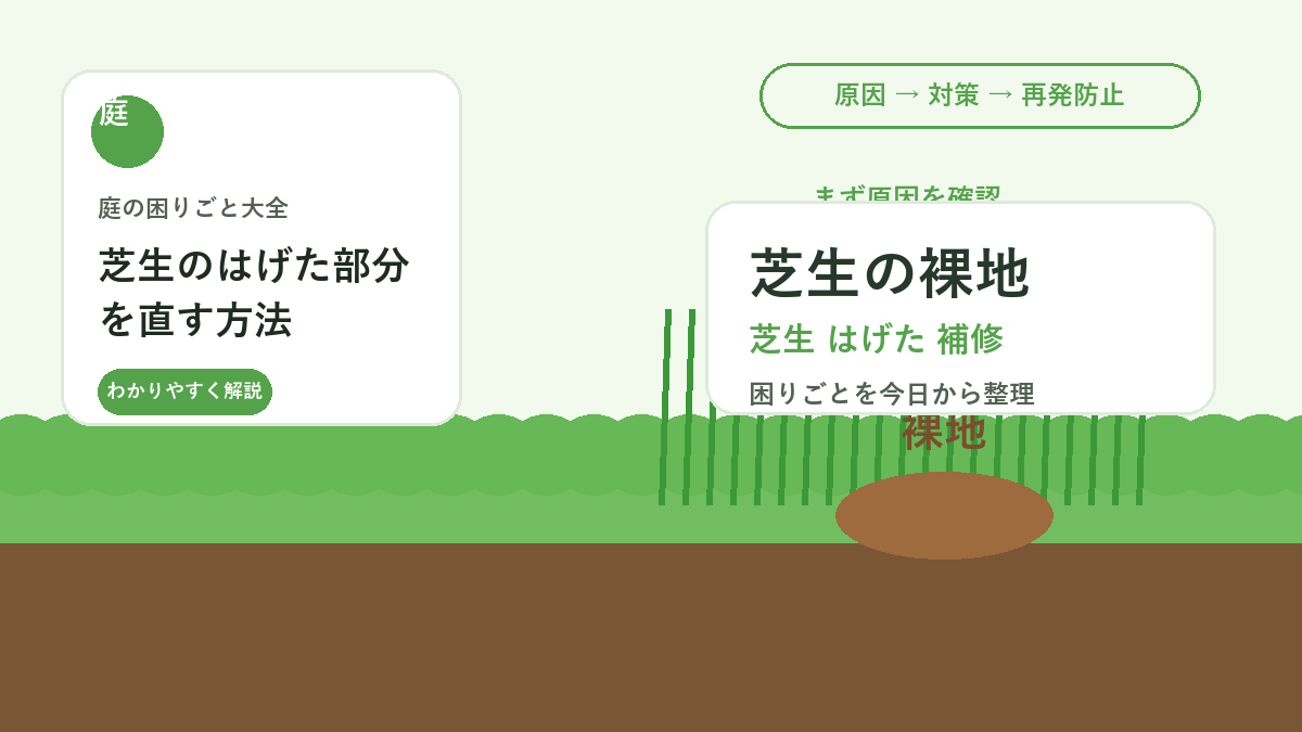 芝生のはげた部分を直す方法｜裸地を広げない補修と再生の手順