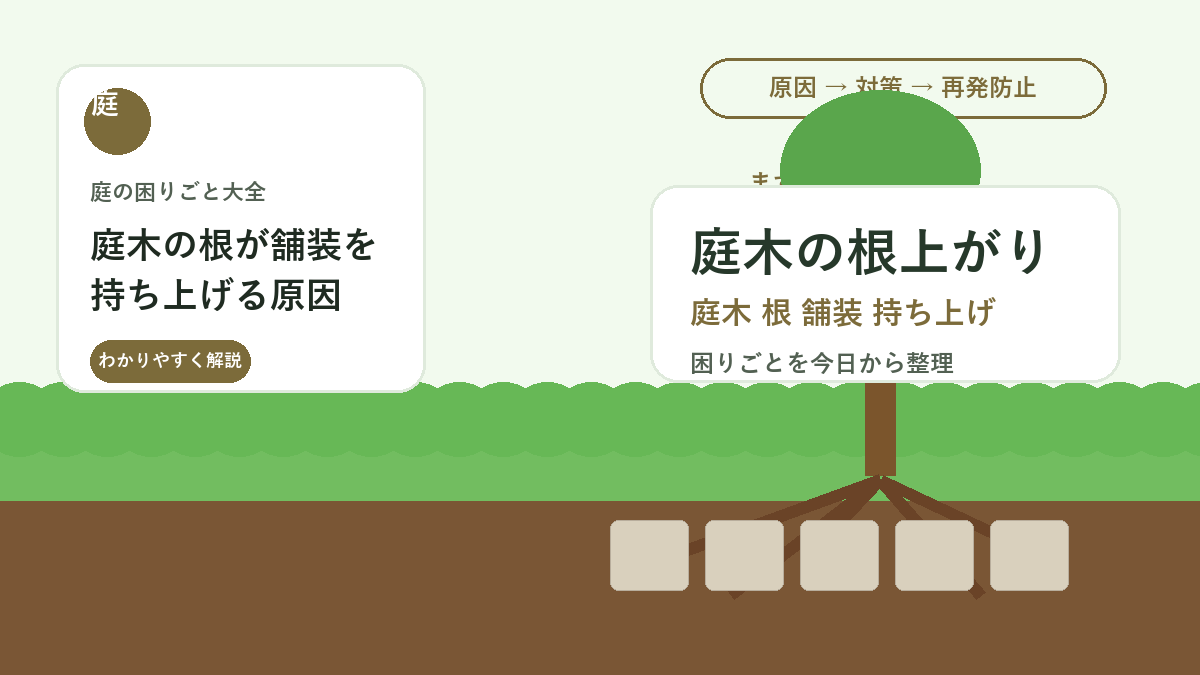 庭木の根が舗装を持ち上げる原因｜根上がり対策と植え場所の見直し