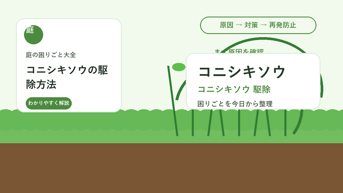 コニシキソウの駆除方法｜地面をはう雑草を庭で増やさない抜き方