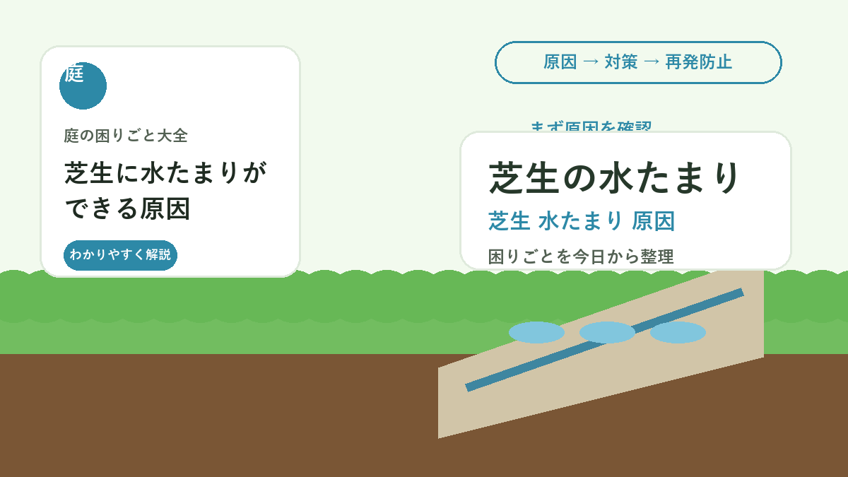 芝生に水たまりができる原因｜雨上がりのぬかるみを改善する方法