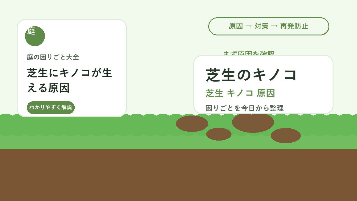 芝生にキノコが生える原因｜雨上がりに増える白いキノコの対処法