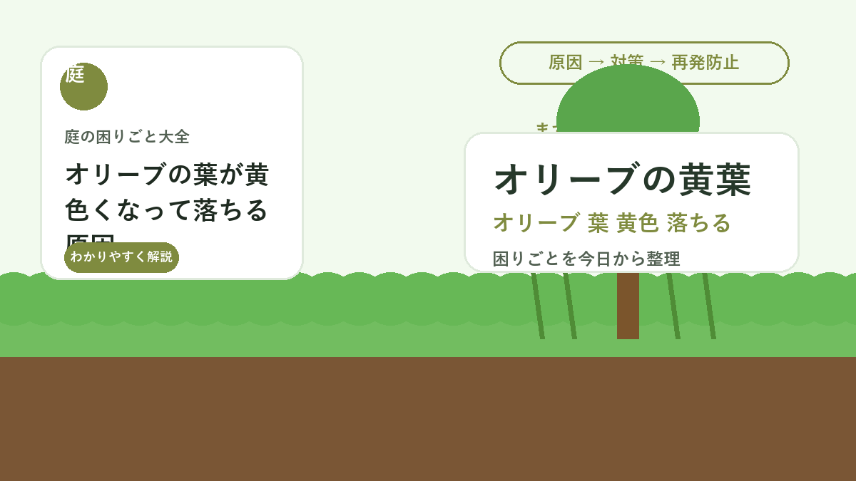 オリーブの葉が黄色くなって落ちる原因｜水やり・根詰まり・病害虫の確認