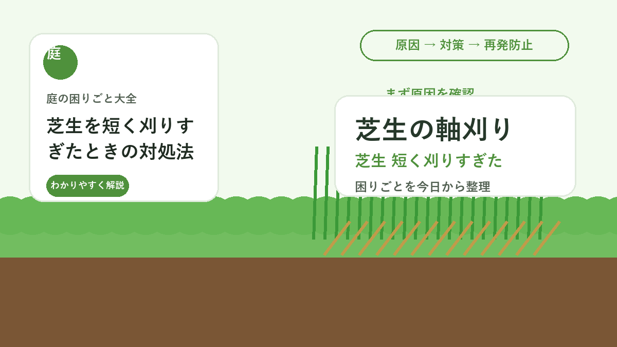 芝生を短く刈りすぎたときの対処法｜軸刈りから回復させる管理