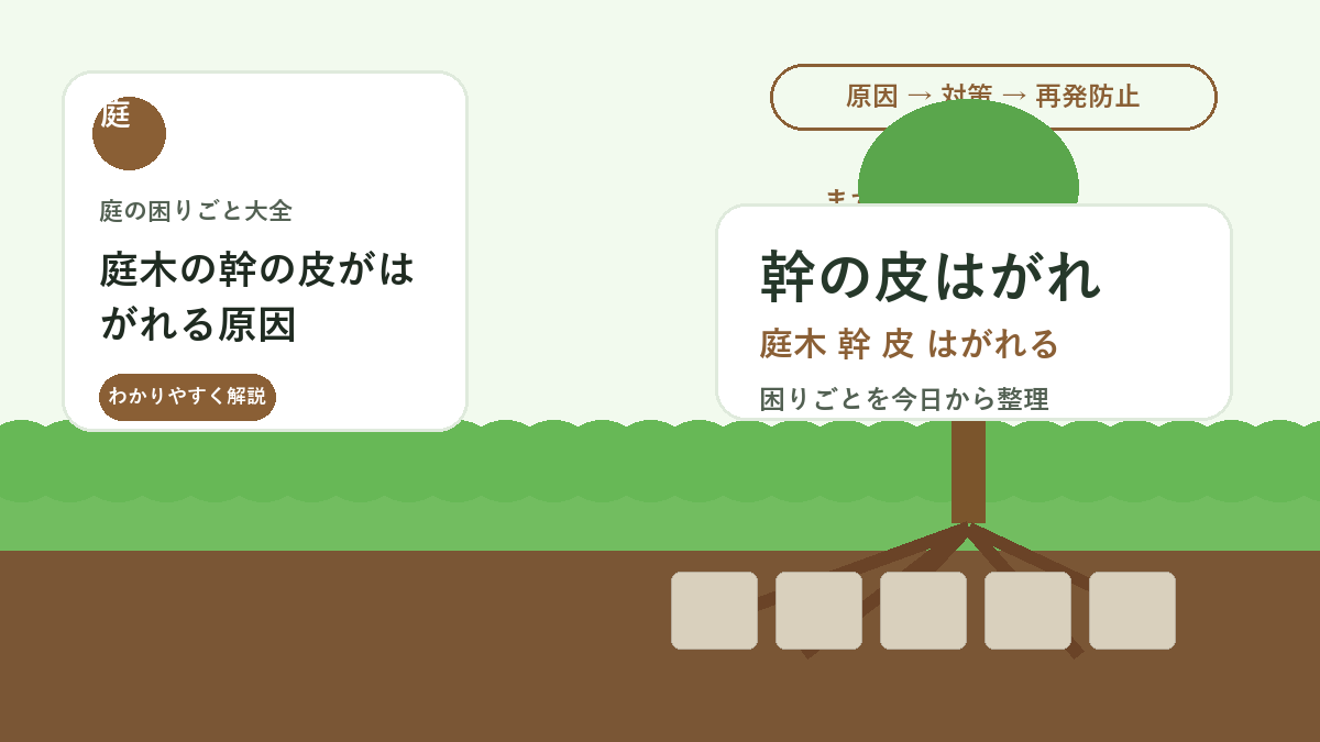 庭木の幹の皮がはがれる原因｜病気・乾燥・日焼けの見分け方