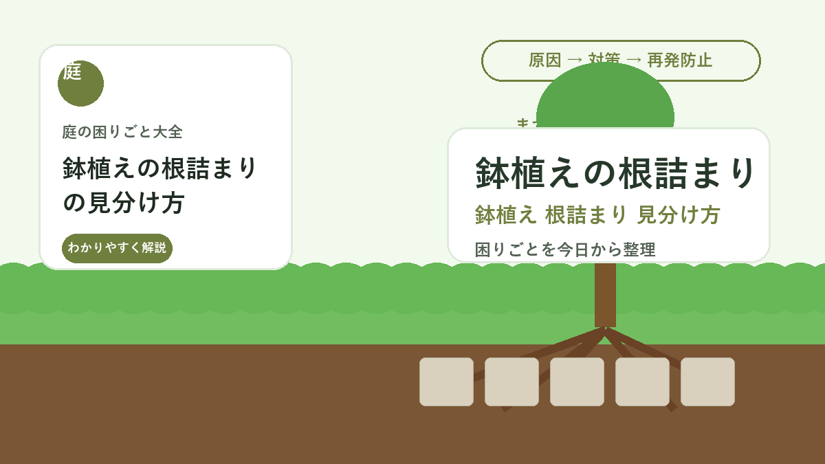 鉢植えの根詰まりの見分け方｜水が染み込まない・元気がない時の対処