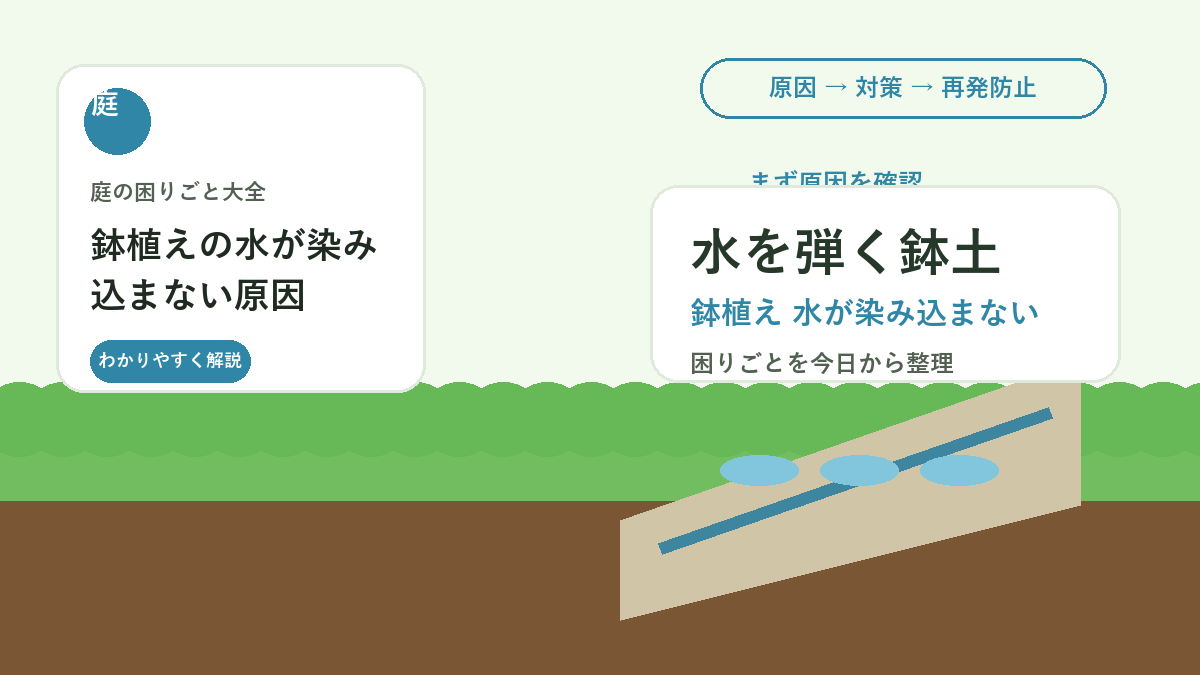 鉢植えの水が染み込まない原因｜乾きすぎた土を戻す水やり方法