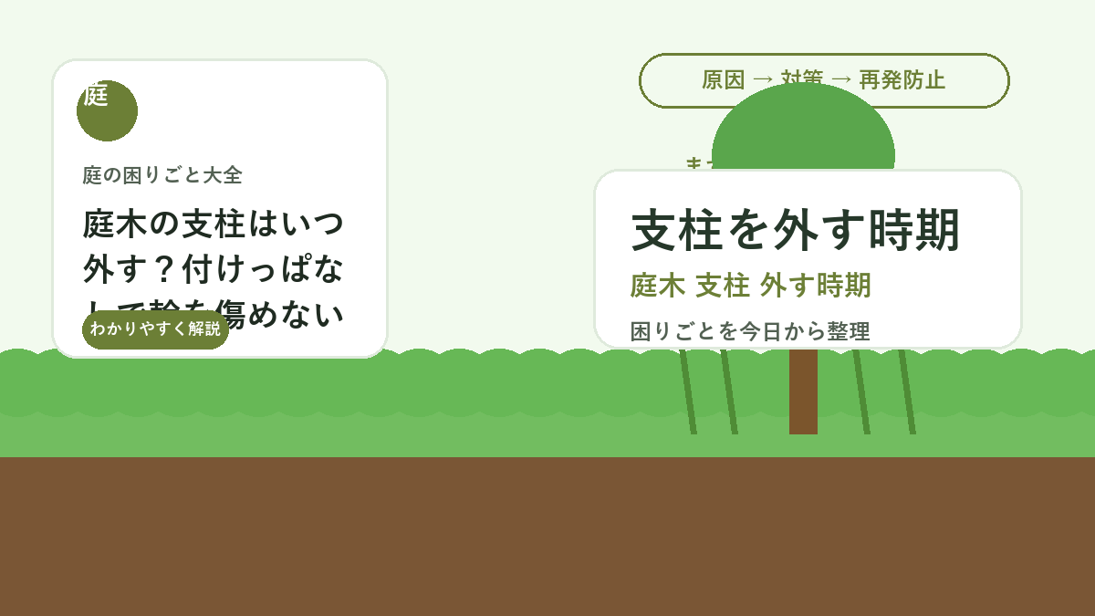 庭木の支柱はいつ外す？付けっぱなしで幹を傷めない判断基準