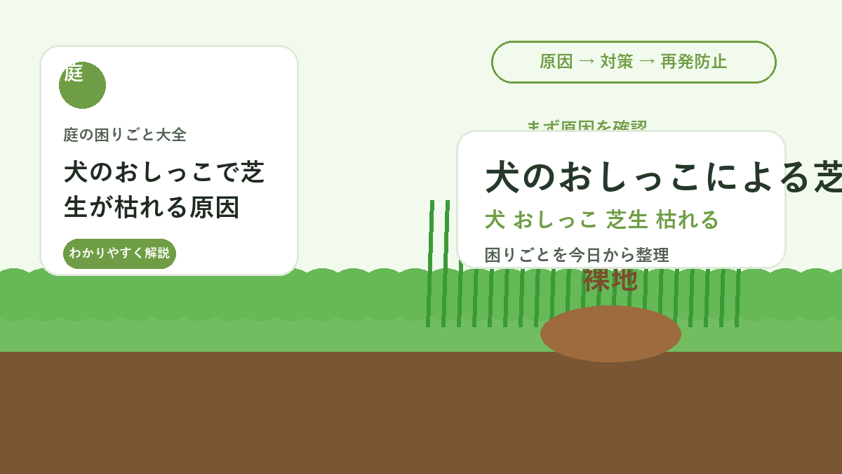 犬のおしっこで芝生が枯れる原因｜黄ばみを広げない水洗いと補修方法
