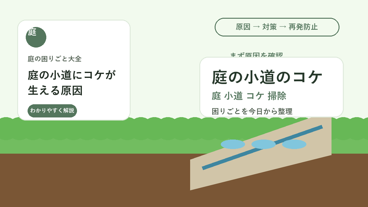 庭の小道にコケが生える原因｜滑りやすさを防ぐ掃除と再発予防