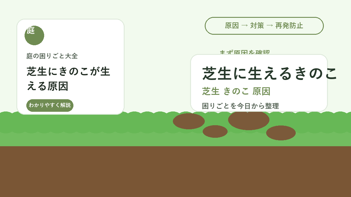 芝生にきのこが生える原因｜雨上がりに増える時の掃除と土の見直し