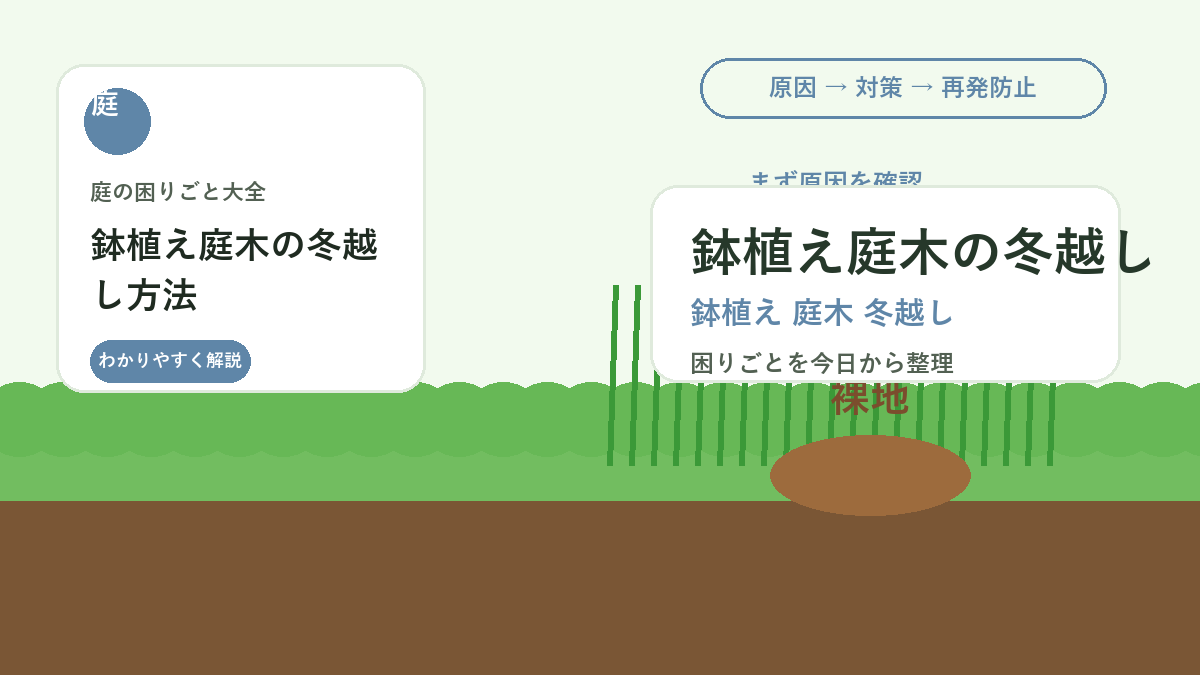 鉢植え庭木の冬越し方法｜寒風・霜・水切れから根を守る管理