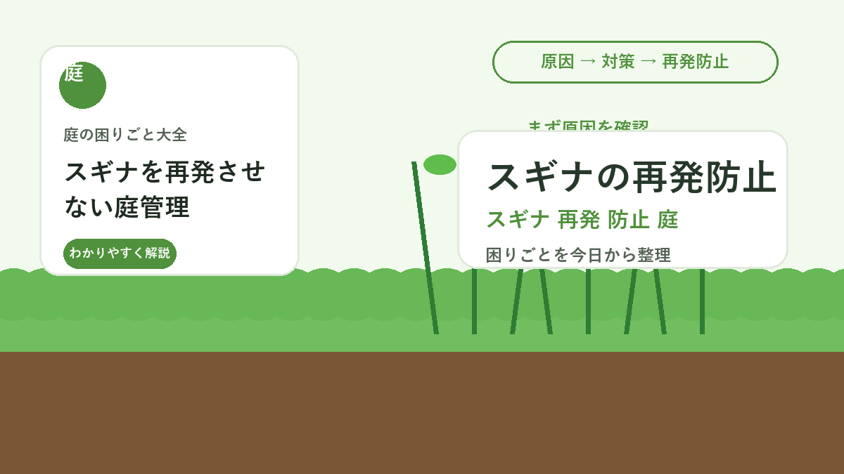 スギナを再発させない庭管理｜抜いた後にやる土と日当たりの見直し