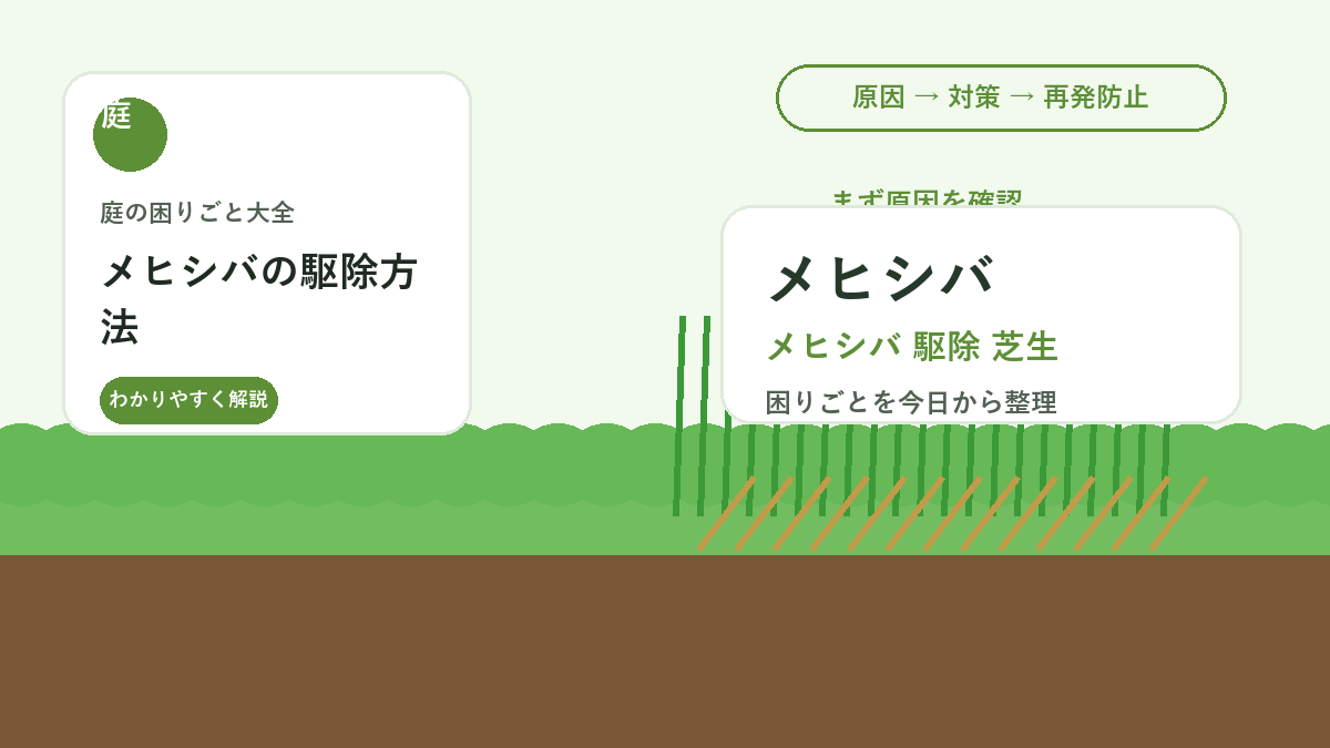 メヒシバの駆除方法｜芝生に広がる夏雑草を種で増やさない対策
