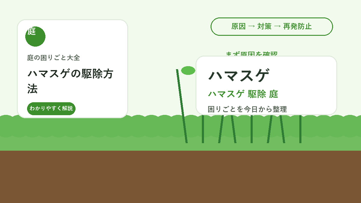 ハマスゲの駆除方法｜芝生や花壇で増える地下の塊を残さないコツ