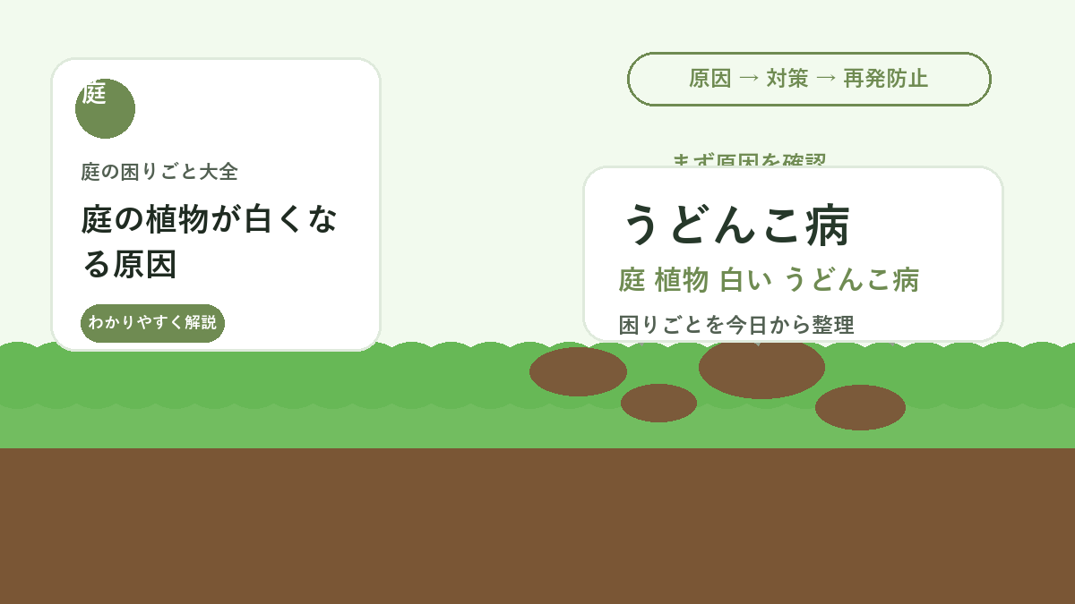 庭の植物が白くなる原因｜うどんこ病を広げない風通しと初期対策