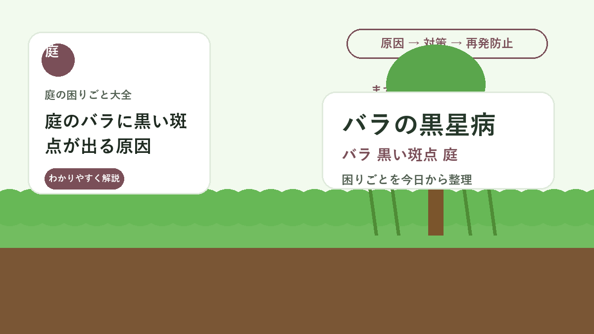 庭のバラに黒い斑点が出る原因｜黒星病を防ぐ葉の掃除と水やり