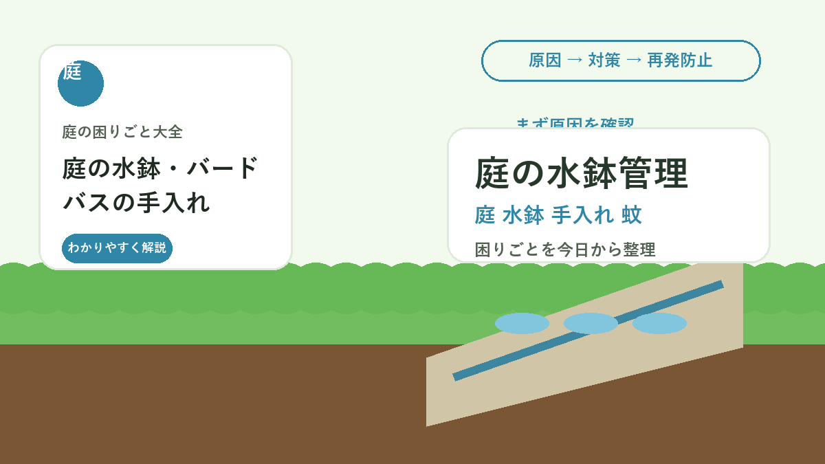 庭の水鉢・バードバスの手入れ｜蚊・ぬめり・汚れを防ぐ水替え管理