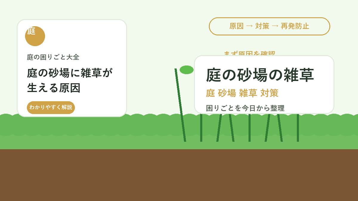 庭の砂場に雑草が生える原因｜子どもが使う場所を清潔に保つ対策