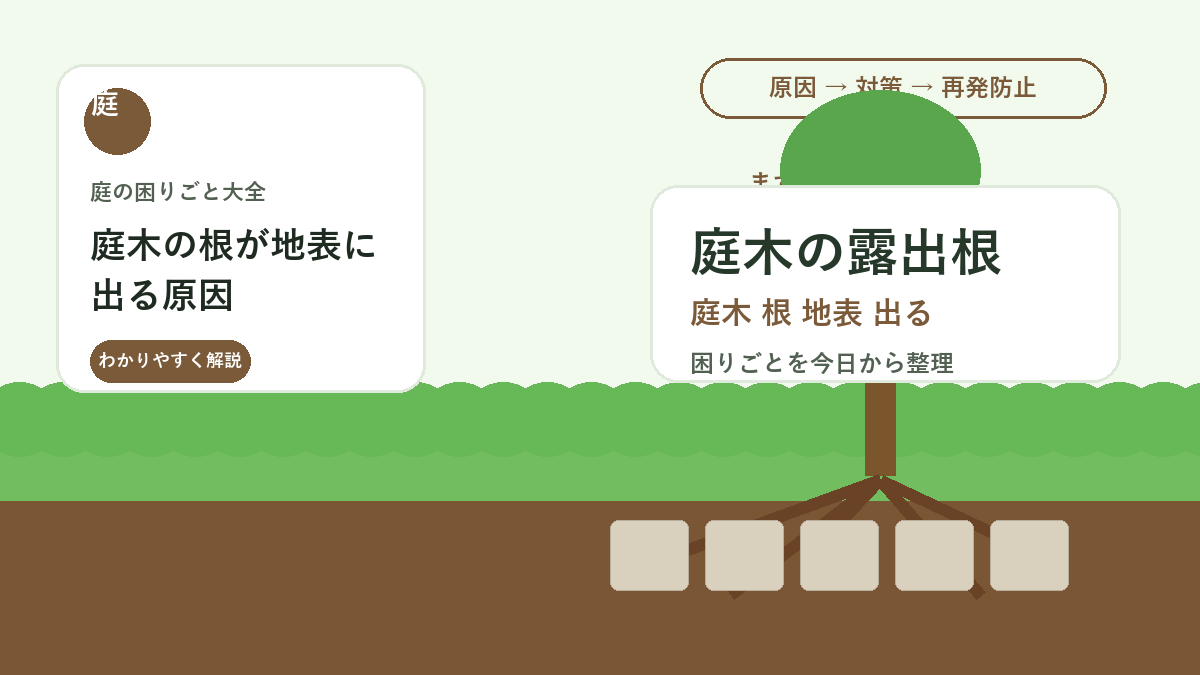 庭木の根が地表に出る原因｜根を傷めない土足しと歩行対策