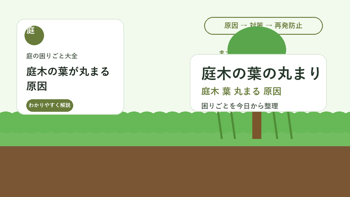 庭木の葉が丸まる原因｜水切れ・害虫・病気を見分ける確認ポイント