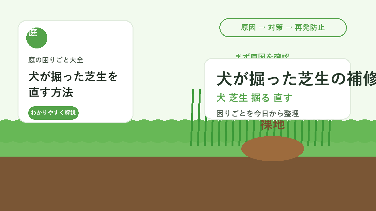 犬が掘った芝生を直す方法｜穴埋め・目土・再発防止の庭づくり
