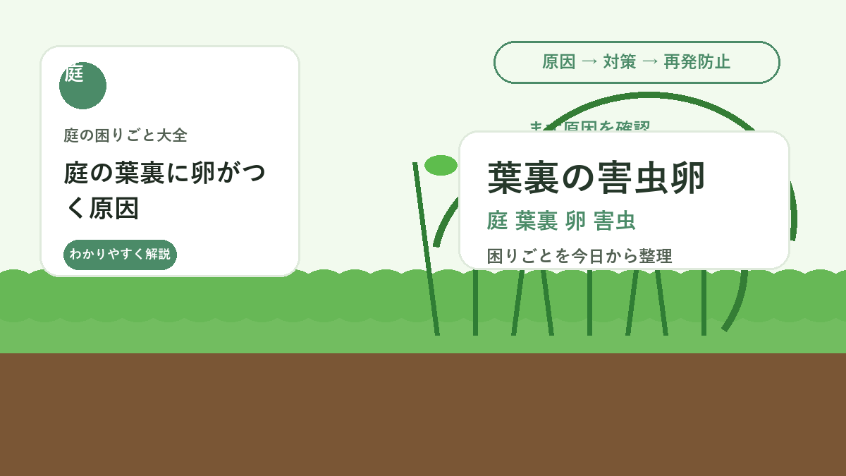 庭の葉裏に卵がつく原因｜害虫を増やさない見つけ方と初期処理