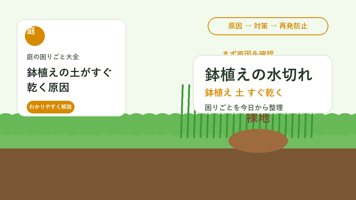 鉢植えの土がすぐ乾く原因｜夏の水切れを防ぐ鉢・土・置き場所の見直し