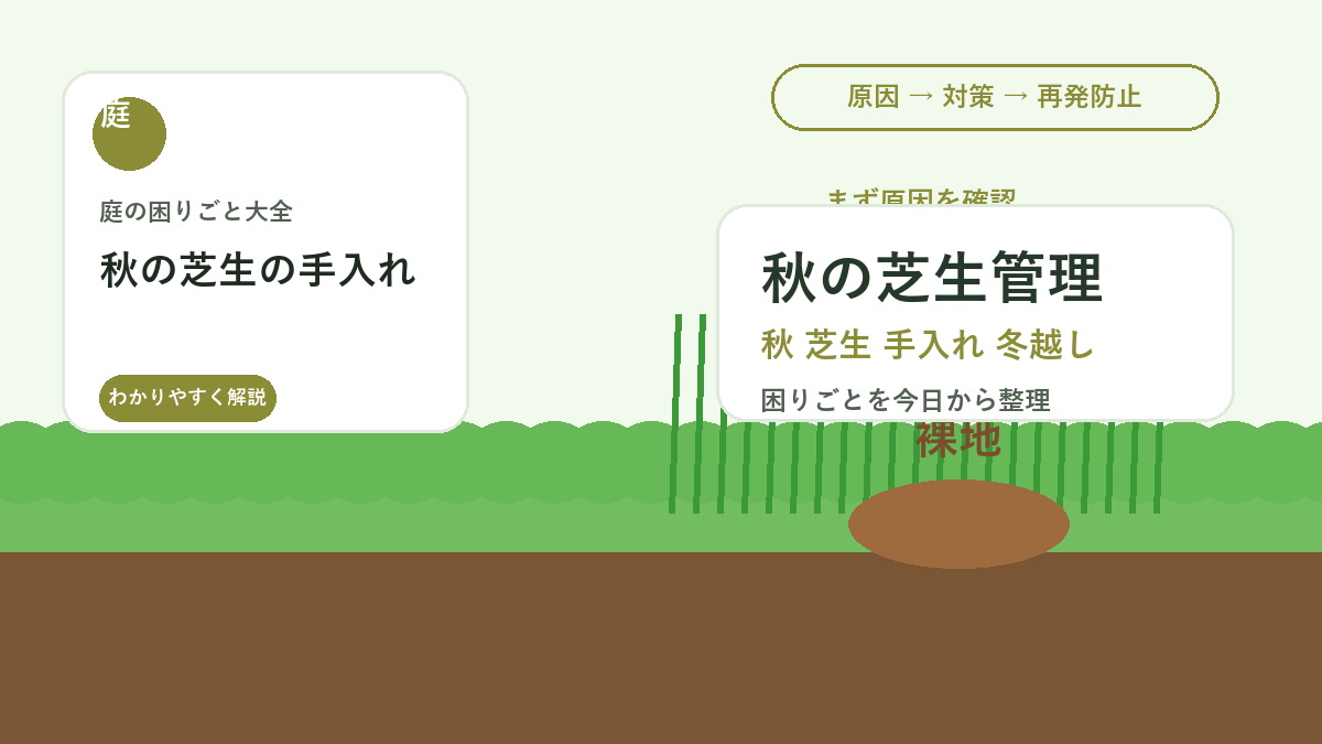 秋の芝生の手入れ｜冬越し前にやる掃除・刈り高・肥料管理