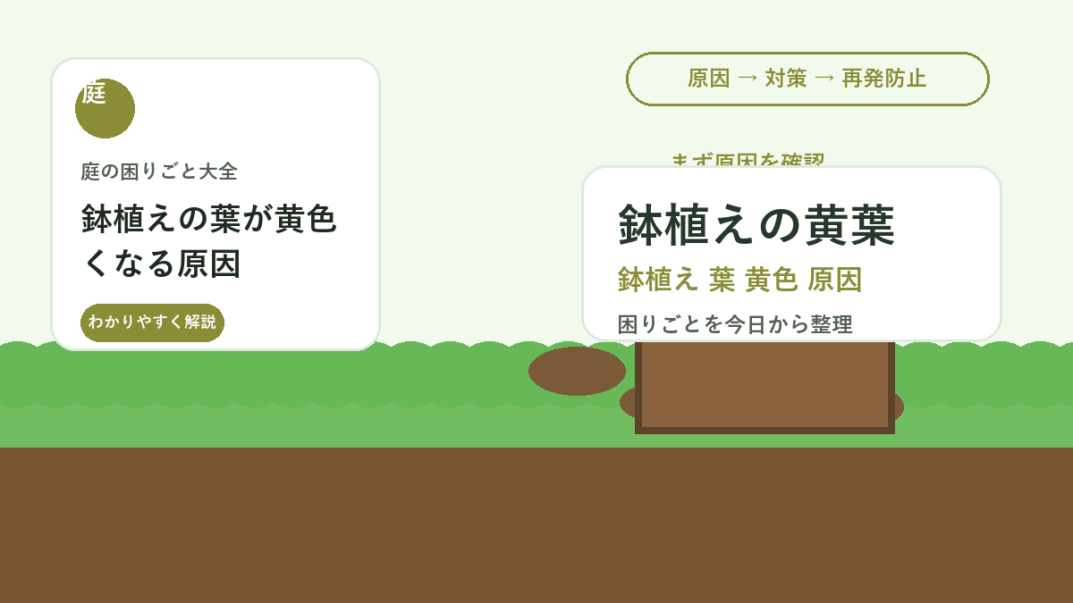 鉢植えの葉が黄色くなる原因｜水切れ・根詰まり・肥料不足の見分け方