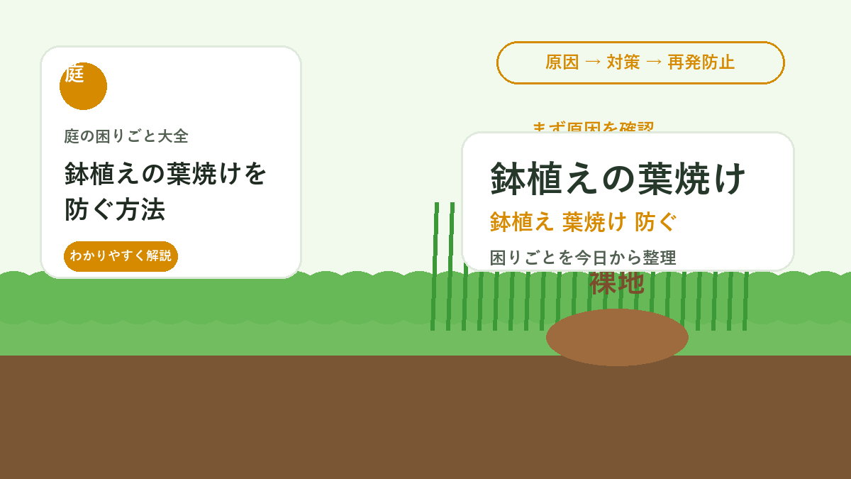 鉢植えの葉焼けを防ぐ方法｜夏の直射日光と置き場所の調整ポイント