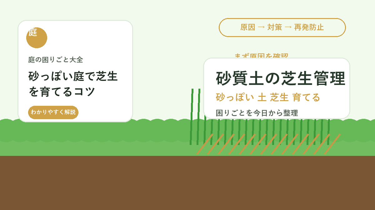 砂っぽい庭で芝生を育てるコツ｜水切れしやすい土の保水と目土管理