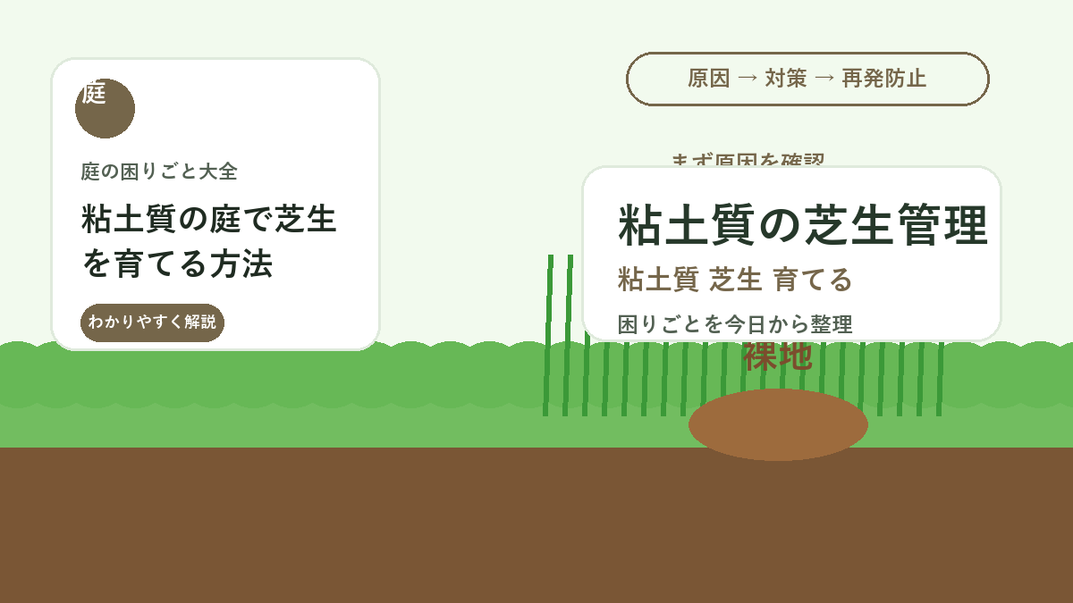 粘土質の庭で芝生を育てる方法｜水はけと踏み固めを改善する手順