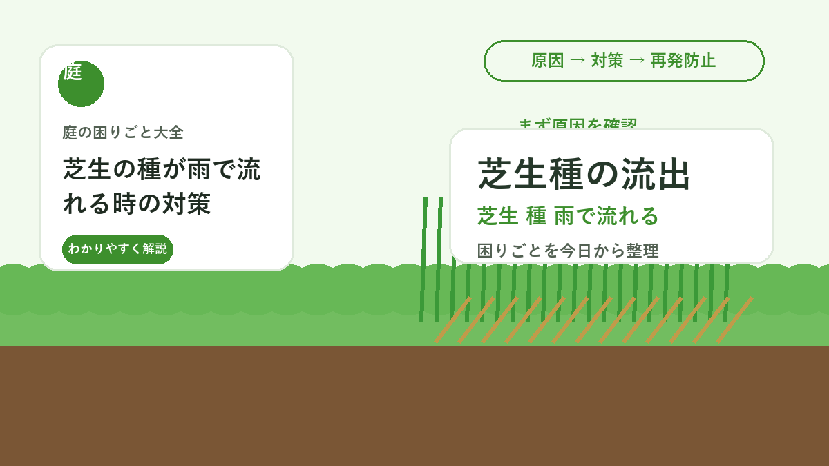 芝生の種が雨で流れる時の対策｜目土・覆い・水やりで発芽を守る方法