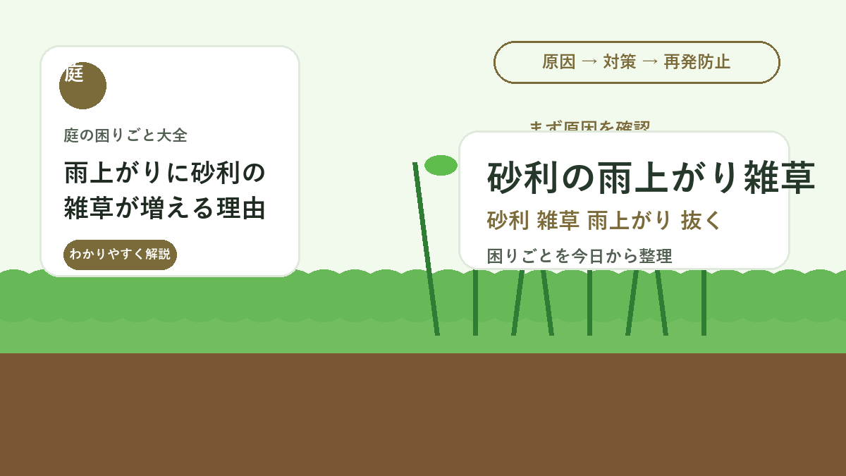 雨上がりに砂利の雑草が増える理由｜湿った時に抜くコツと予防策