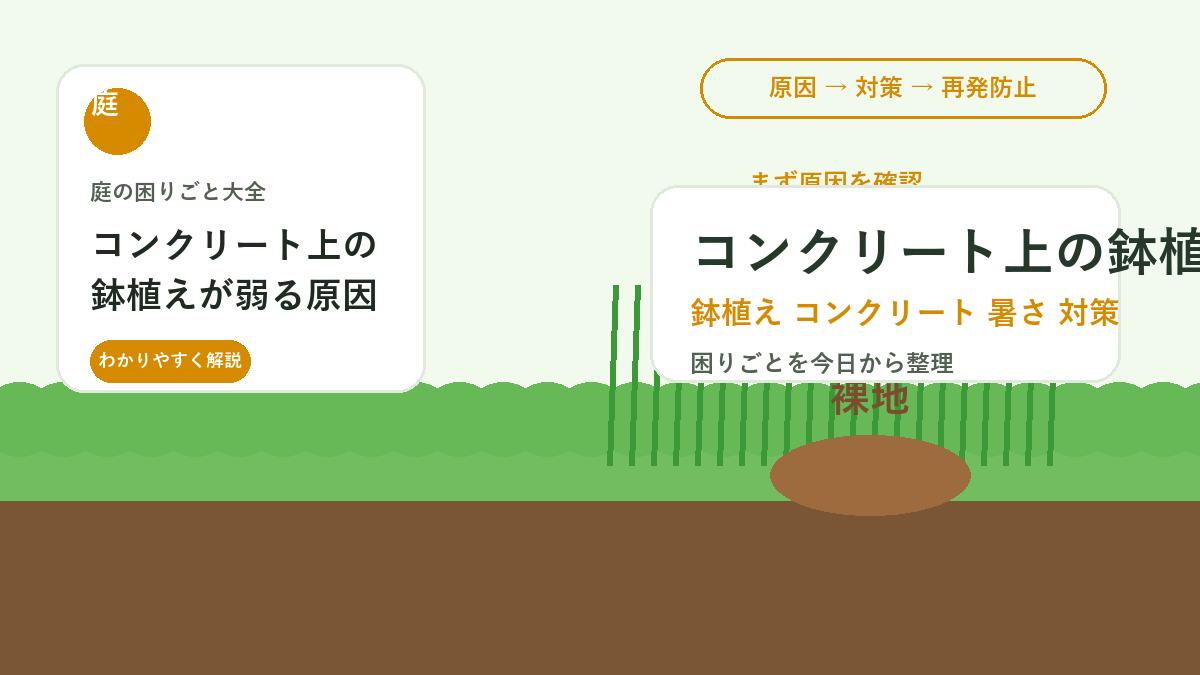 コンクリート上の鉢植えが弱る原因｜照り返しと鉢の熱を避ける置き方