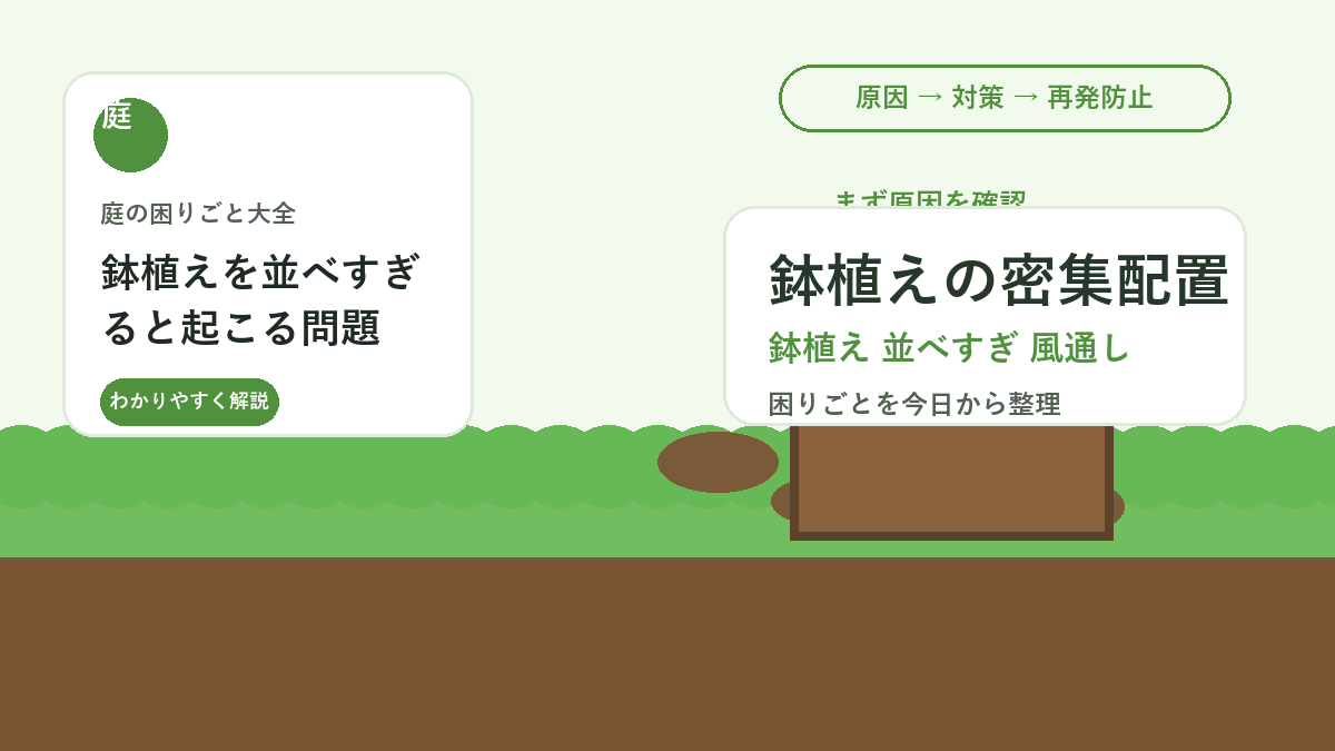 鉢植えを並べすぎると起こる問題｜風通しと水やりを楽にする配置
