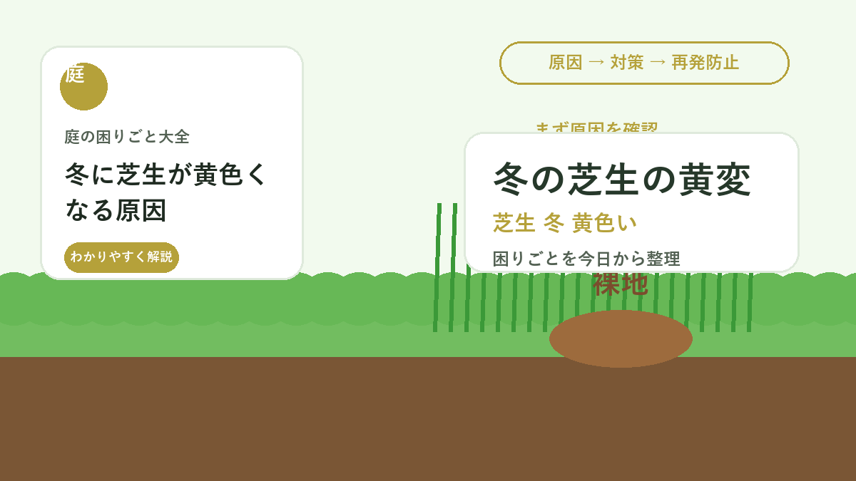 冬に芝生が黄色くなる原因｜枯れとの違いと春に戻す管理方法