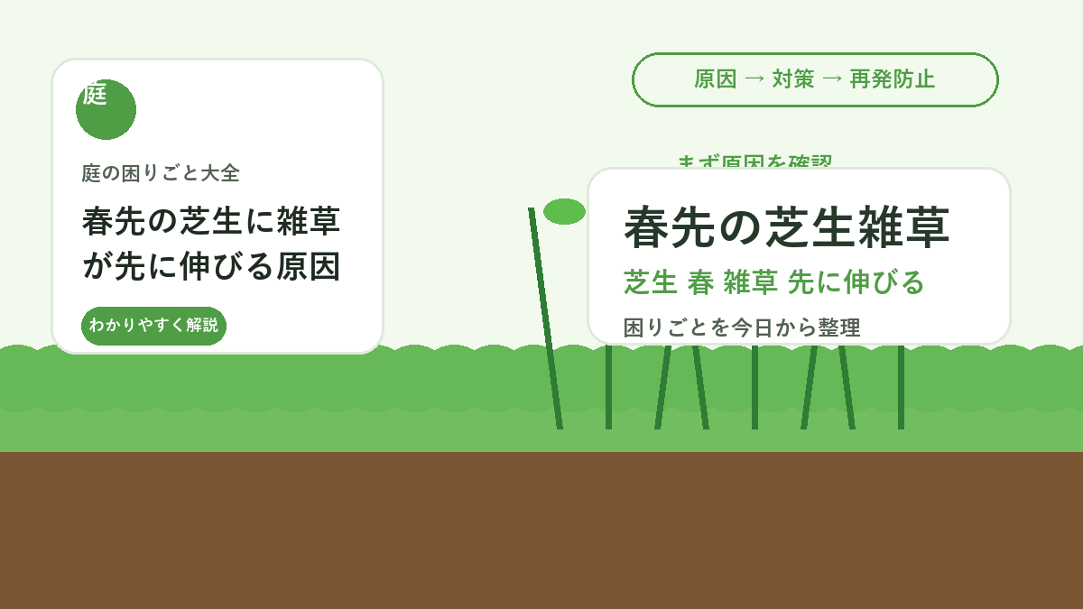 春先の芝生に雑草が先に伸びる原因｜芝を弱らせない抜き方と予防
