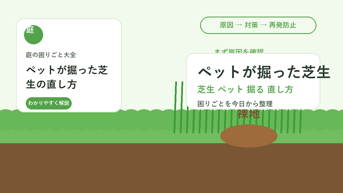 ペットが掘った芝生の直し方｜穴埋めと再発を防ぐ庭づくり