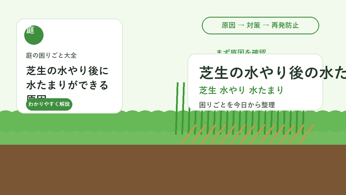 芝生の水やり後に水たまりができる原因｜散水量と土の通気を見直す方法