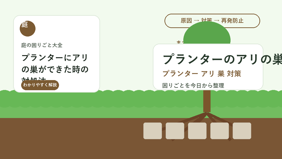 プランターにアリの巣ができた時の対処法｜植物を傷めない確認と移動