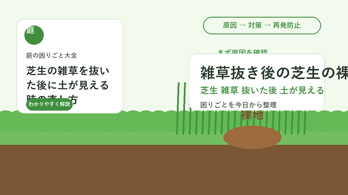 芝生の雑草を抜いた後に土が見える時の直し方｜裸地を埋める回復手順